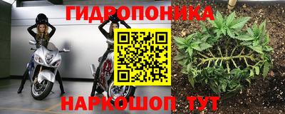 spice Берёзовский