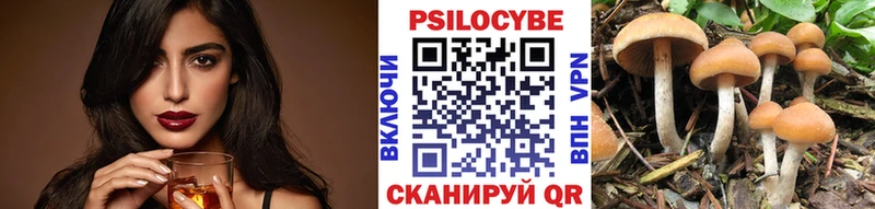наркота  Донской  Галлюциногенные грибы мицелий 