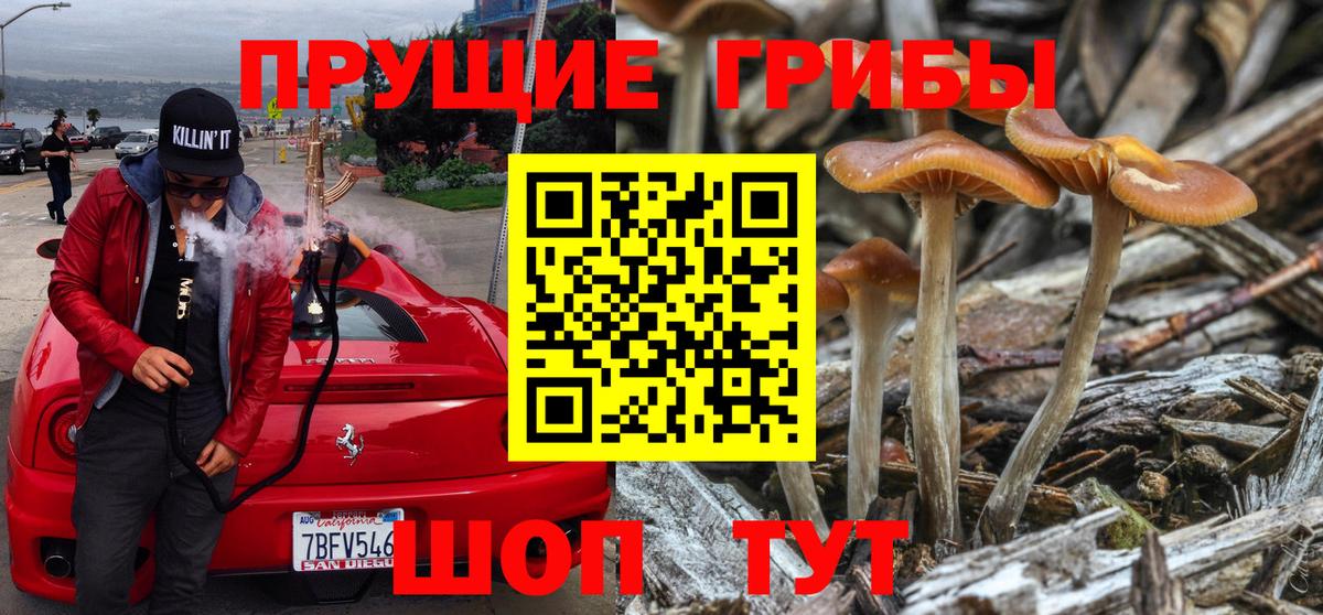 Галлюциногенные грибы MAGIC MUSHROOMS Донской