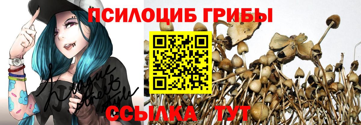 Галлюциногенные грибы Psilocybine cubensis  Псилоцибиновые грибы Cubensis  Вход с VPN  Донской 