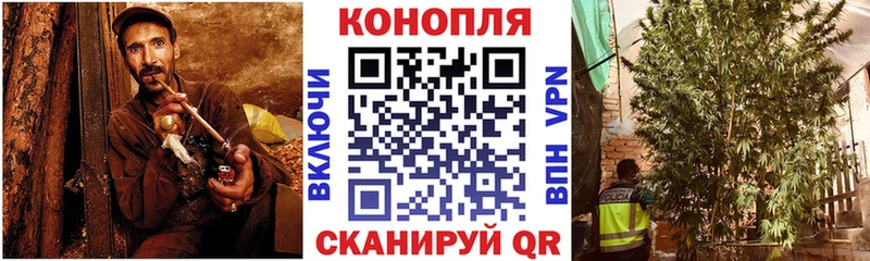 Канабис план Донской